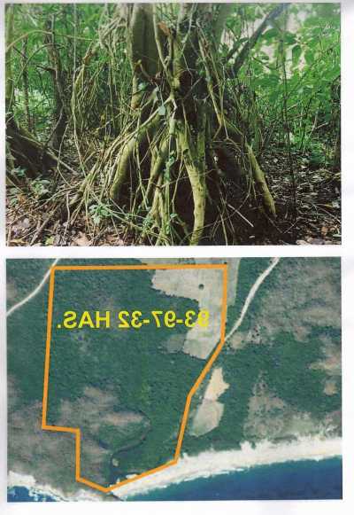 Other Commercial For Sale in Santa Maria Huatulco, Mexico