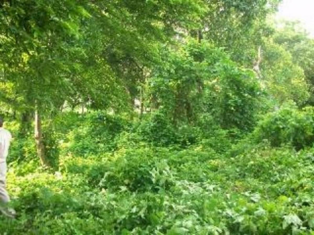 Picture of Residential Land For Sale in Tijuana, Baja California, Mexico