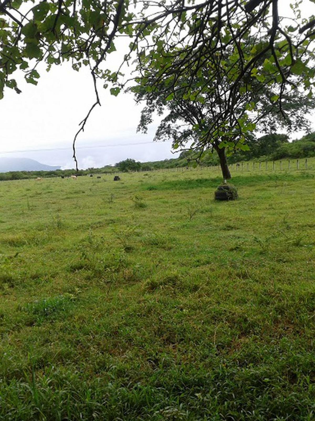 Picture of Other Commercial For Sale in Colima, Colima, Mexico