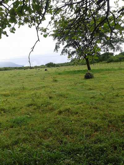 Other Commercial For Sale in Colima, Mexico