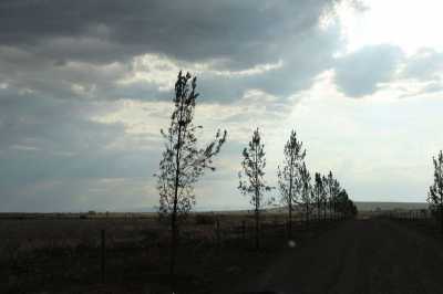 Other Commercial For Sale in San Francisco De Los Romo, Mexico