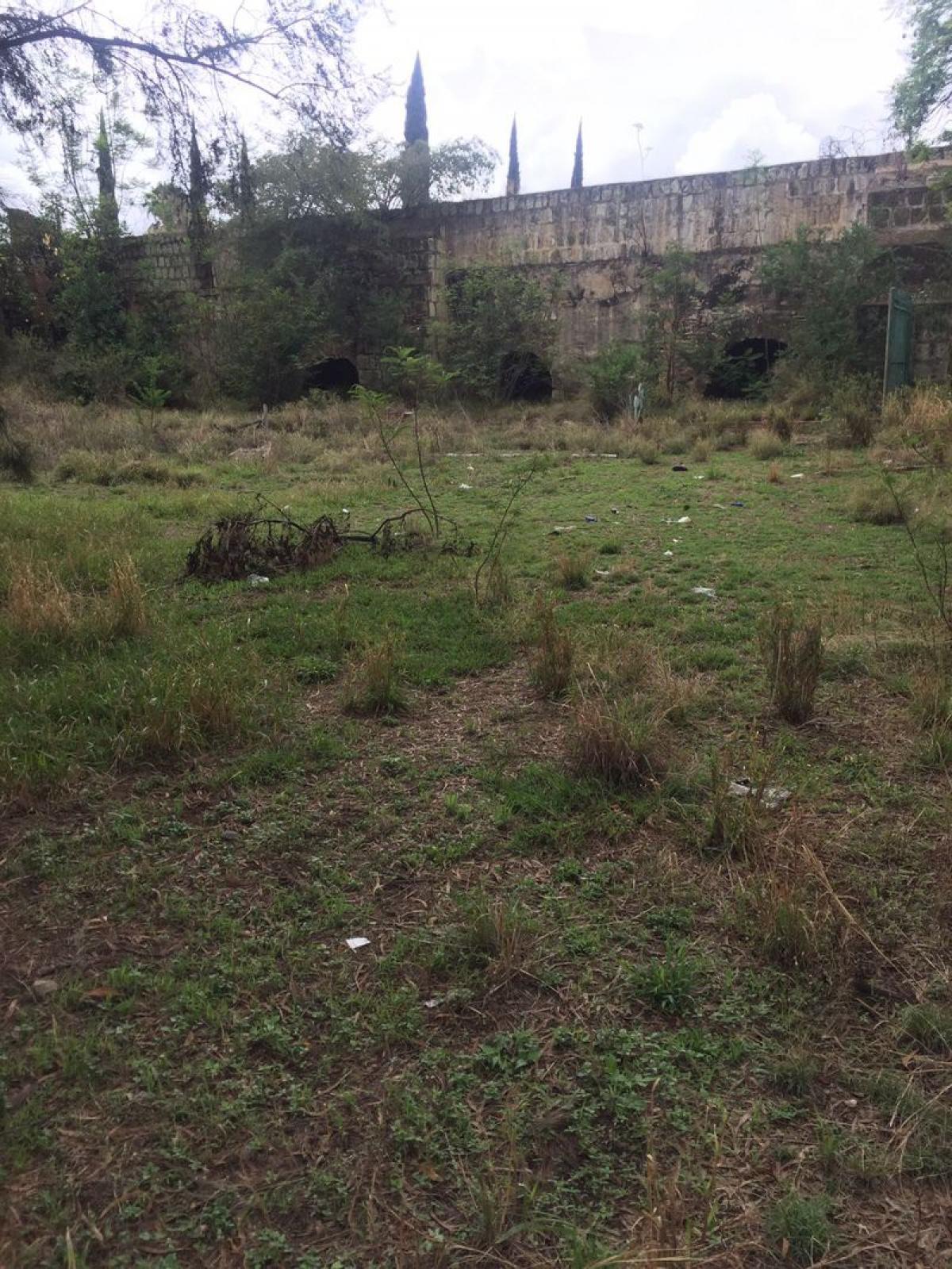 Picture of Other Commercial For Sale in Oaxaca, Oaxaca, Mexico