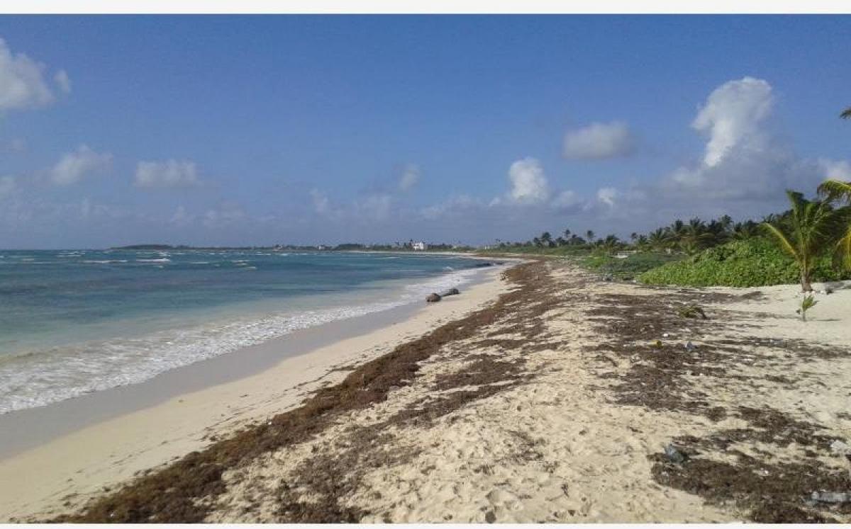 Picture of Residential Land For Sale in Othon P. Blanco, Quintana Roo, Mexico