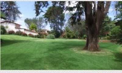 Development Site For Sale in Atemajac De Brizuela, Mexico