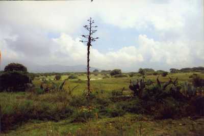 Development Site For Sale in Queretaro, Mexico