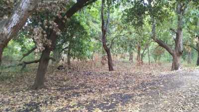 Residential Land For Sale in Chiapa De Corzo, Mexico