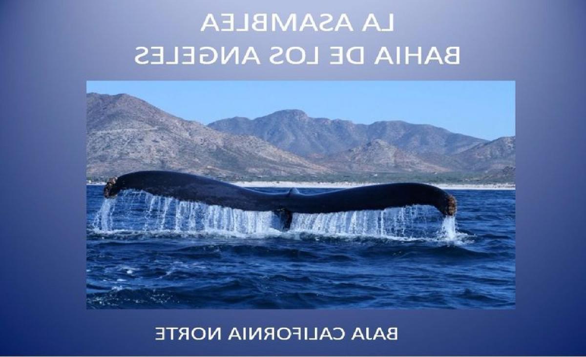 Picture of Residential Land For Sale in Baja California, Baja California, Mexico