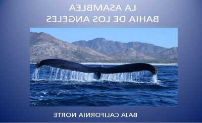 Residential Land For Sale in Baja California, Mexico