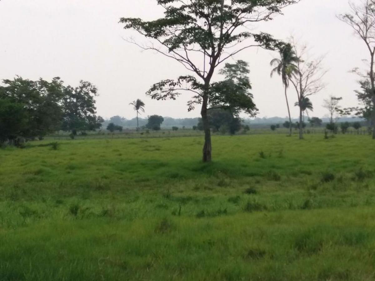 Picture of Development Site For Sale in Comalcalco, Tabasco, Mexico