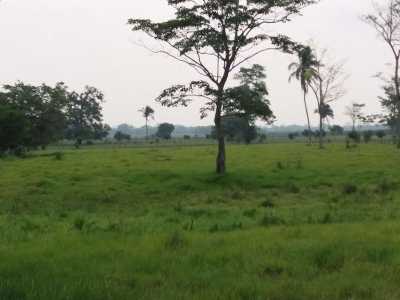 Development Site For Sale in Comalcalco, Mexico