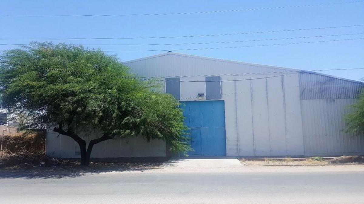 Picture of Other Commercial For Sale in Sonora, Sonora, Mexico