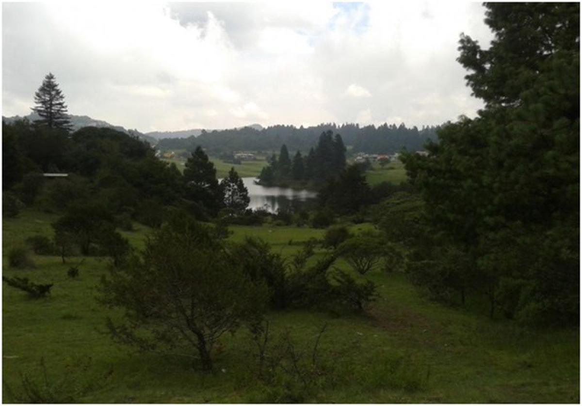 Picture of Other Commercial For Sale in Omitlan De Juarez, Hidalgo, Mexico