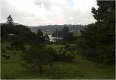 Other Commercial For Sale in Omitlan De Juarez, Mexico