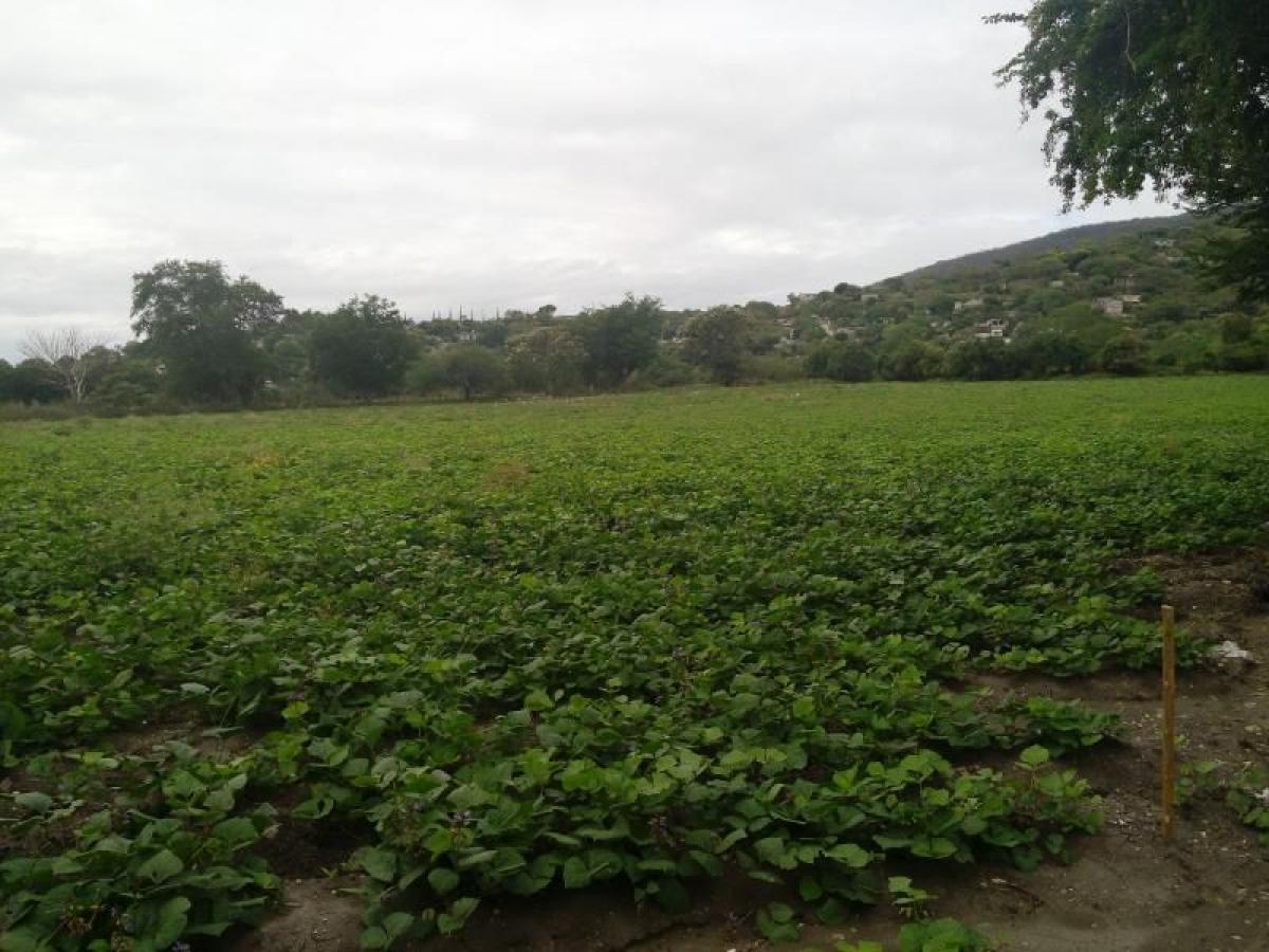 Picture of Residential Land For Sale in Emiliano Zapata, Hidalgo, Mexico