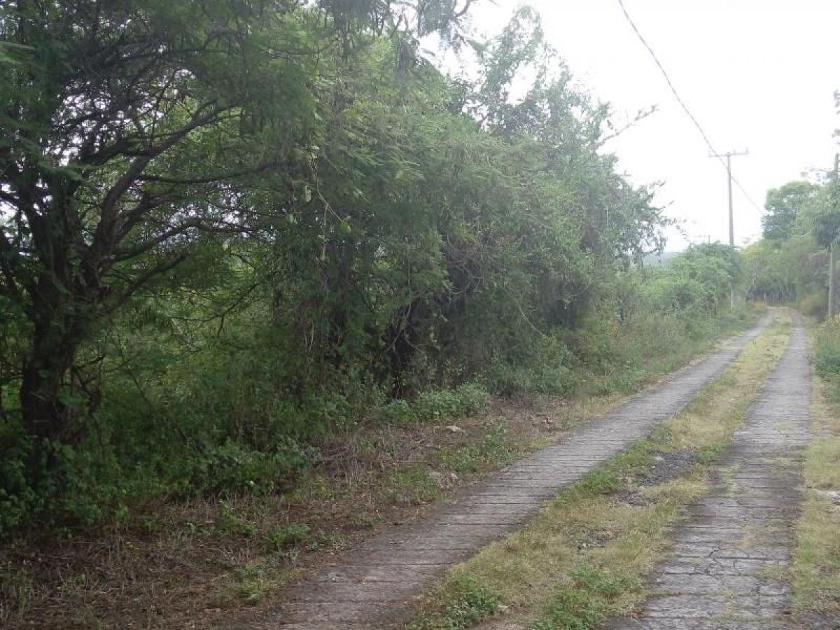 Picture of Residential Land For Sale in Emiliano Zapata, Hidalgo, Mexico