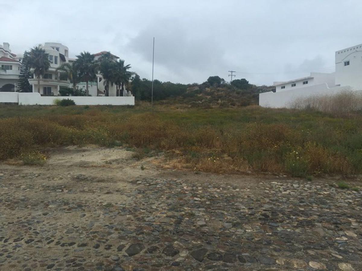 Picture of Other Commercial For Sale in Ensenada, Baja California, Mexico