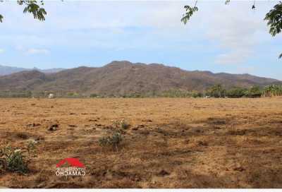 Residential Land For Sale in Colima, Mexico