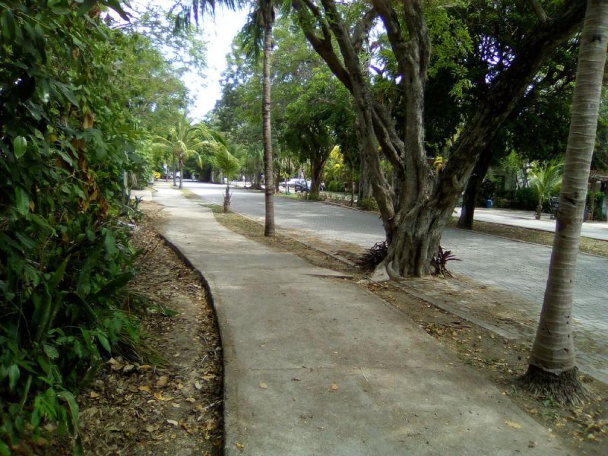 Picture of Other Commercial For Sale in Solidaridad, Quintana Roo, Mexico