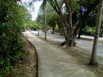 Other Commercial For Sale in Solidaridad, Mexico