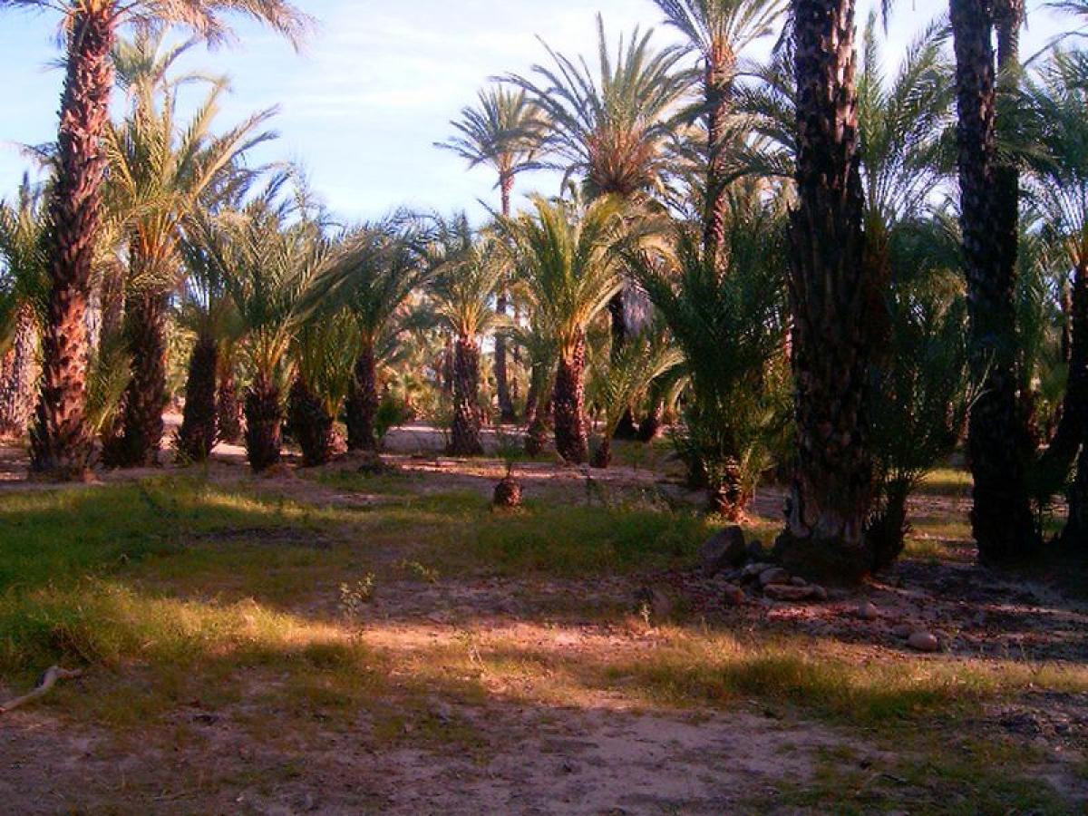 Picture of Other Commercial For Sale in Baja California Sur, Baja California Sur, Mexico