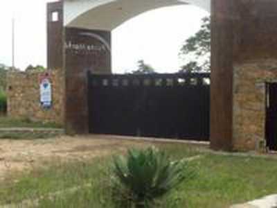 Other Commercial For Sale in Berriozabal, Mexico