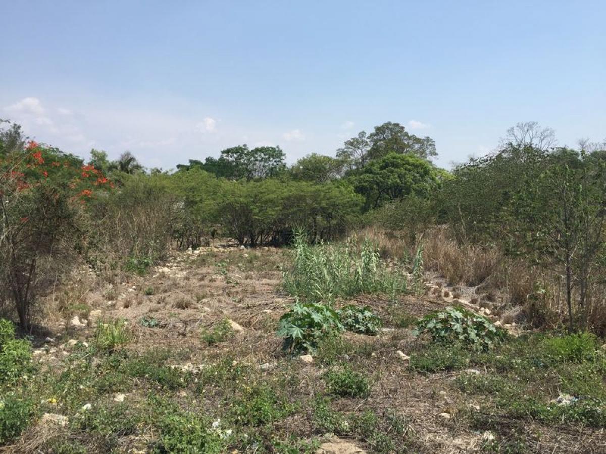 Picture of Other Commercial For Sale in Motozintla, Chiapas, Mexico