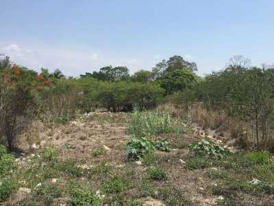 Other Commercial For Sale in Motozintla, Mexico