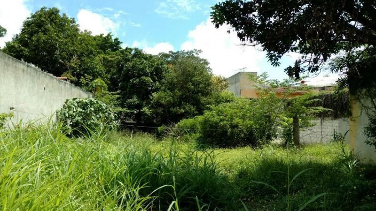 Picture of Other Commercial For Sale in Berriozabal, Chiapas, Mexico