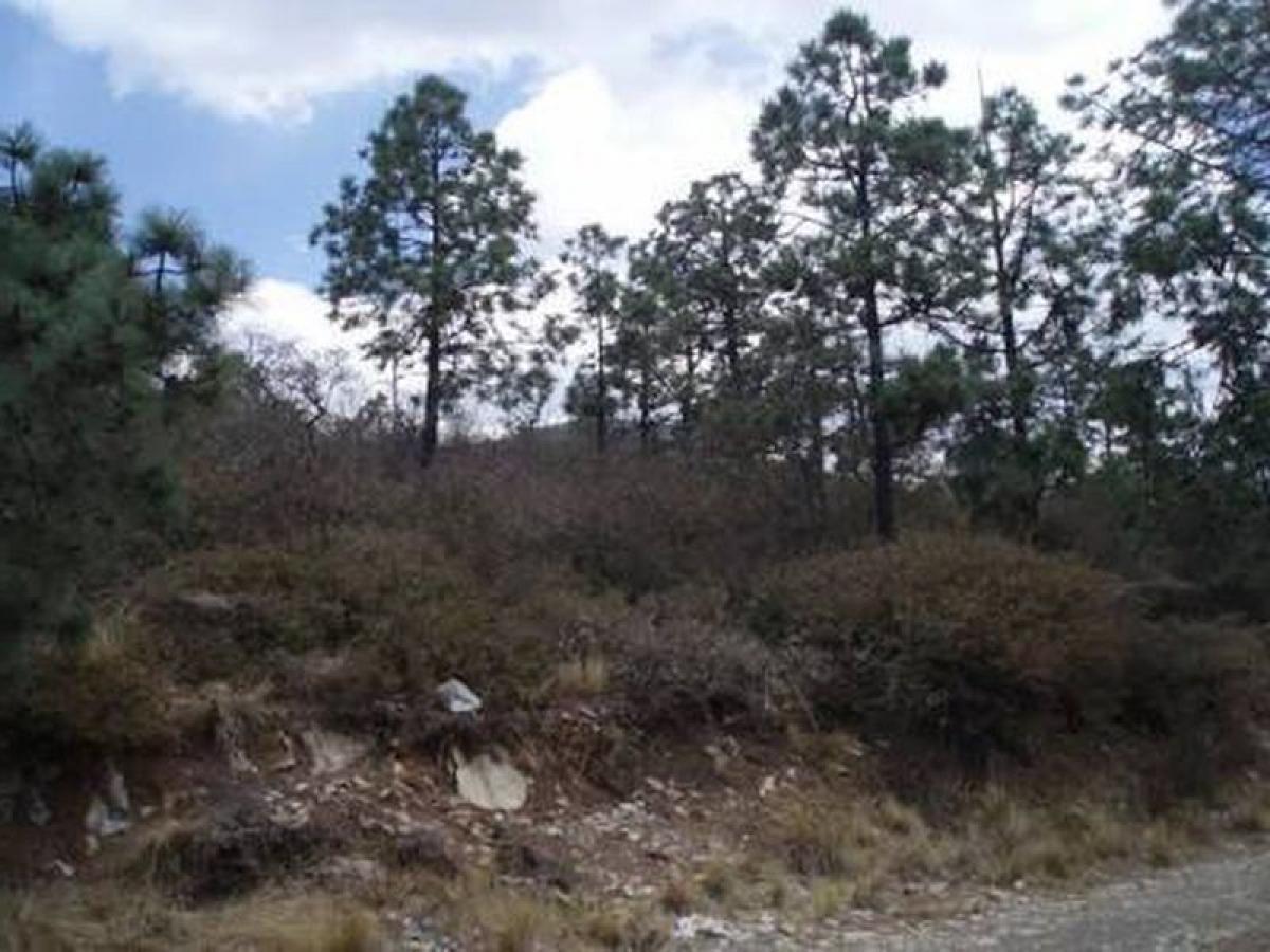 Picture of Development Site For Sale in Coahuila De Zaragoza, Coahuila De Zaragoza, Mexico