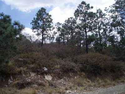 Development Site For Sale in 