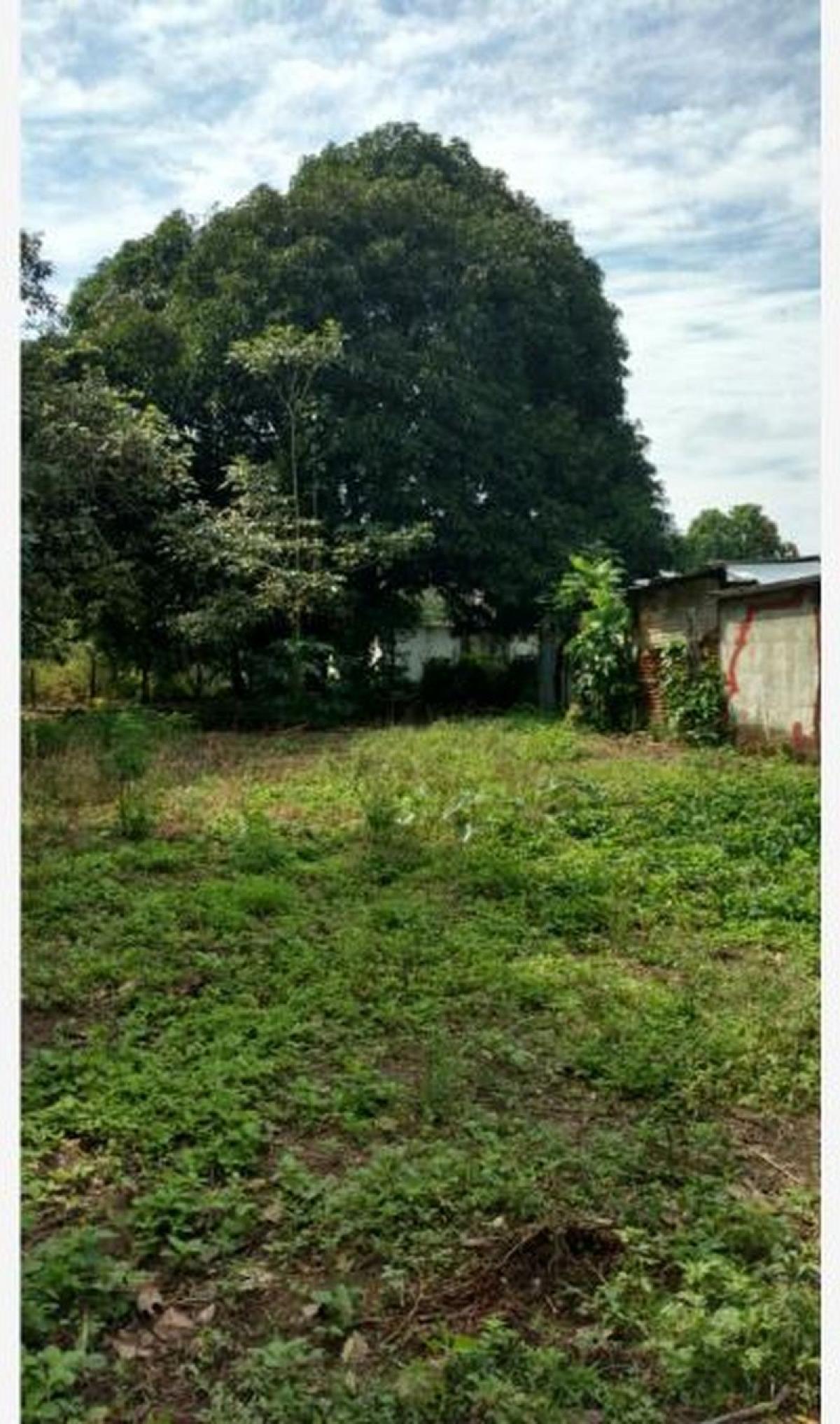 Picture of Residential Land For Sale in Veracruz, Veracruz, Mexico