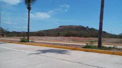 Residential Land For Sale in Sinaloa, Mexico