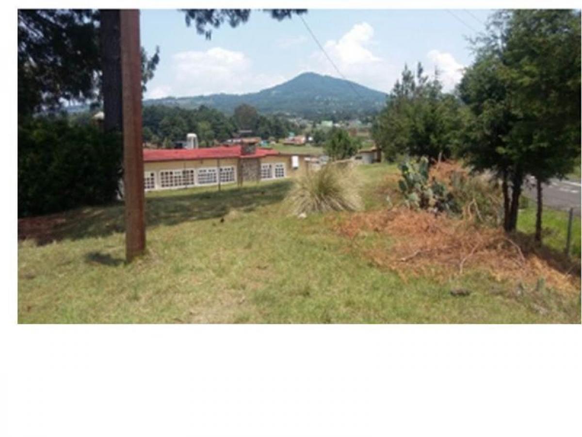 Picture of Development Site For Sale in Villa Victoria, Mexico, Mexico