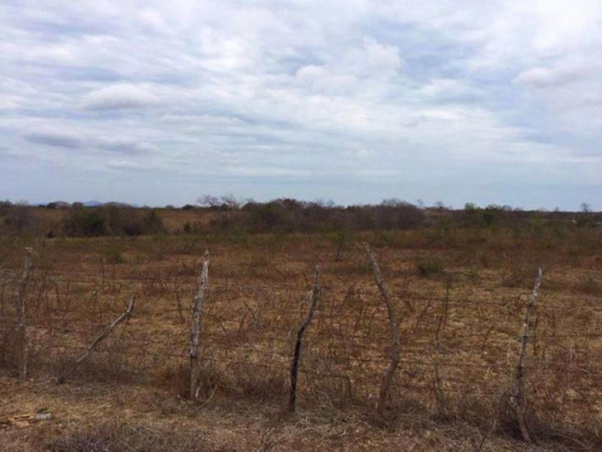 Picture of Residential Land For Sale in Sinaloa, Sinaloa, Mexico