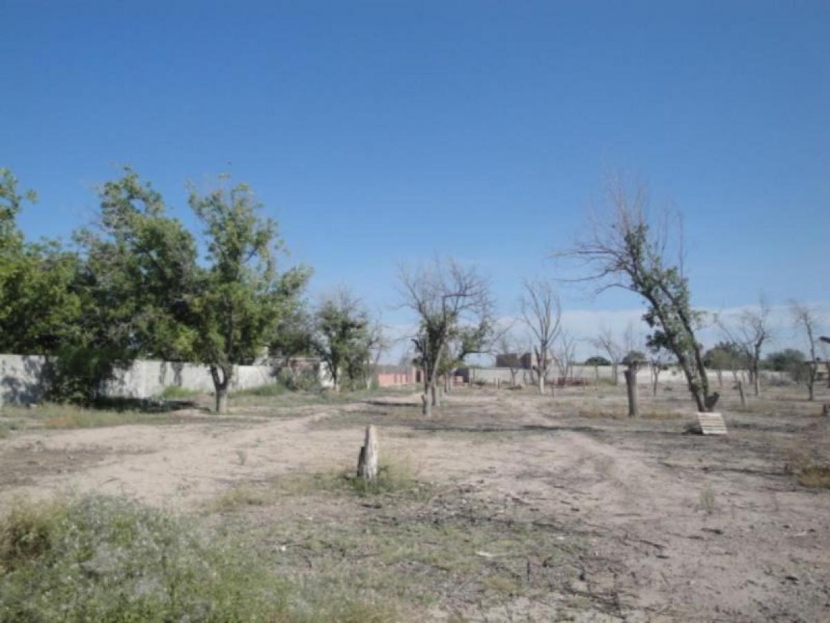 Picture of Residential Land For Sale in Playa Vicente, Veracruz, Mexico