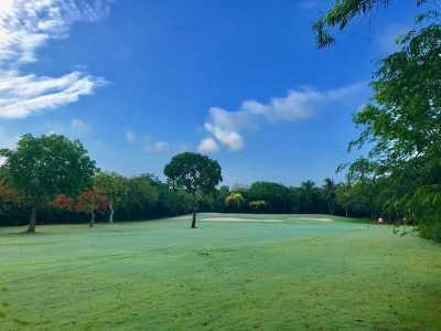 Other Commercial For Sale in Solidaridad, Mexico
