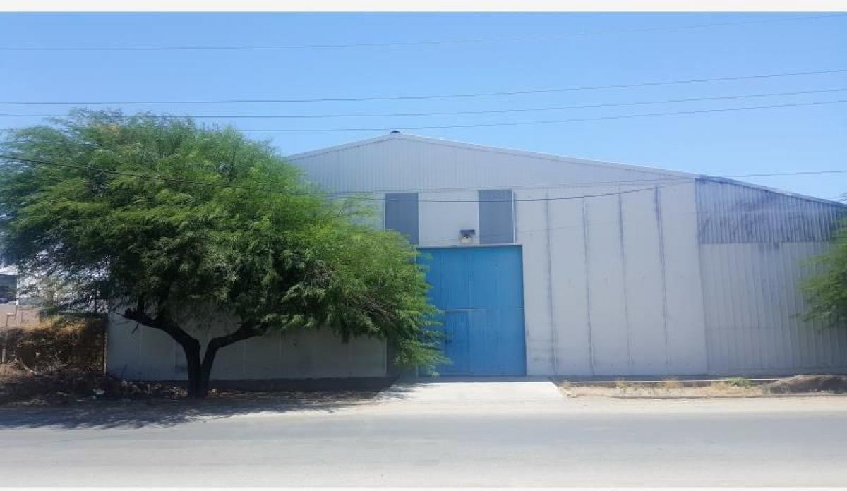 Picture of Other Commercial For Sale in Sonora, Sonora, Mexico