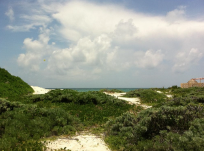 Development Site For Sale in Benito Juarez, Mexico