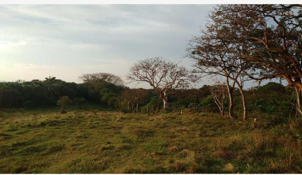 Picture of Residential Land For Sale in Veracruz De Ignacio De La Llave, Veracruz, Mexico