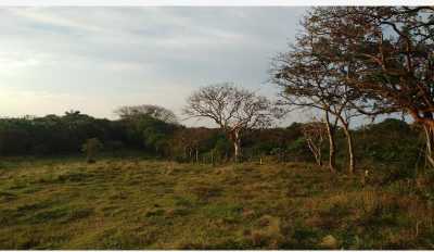 Residential Land For Sale in Veracruz De Ignacio De La Llave, Mexico