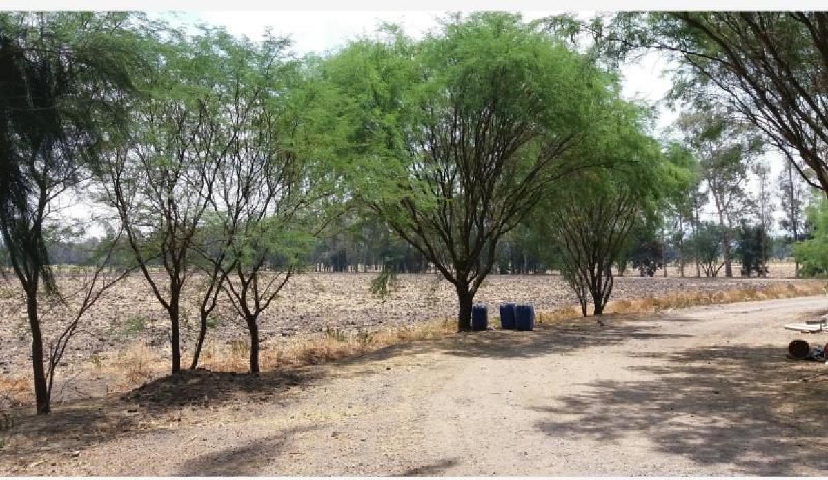 Picture of Residential Land For Sale in El Salto, Jalisco, Mexico