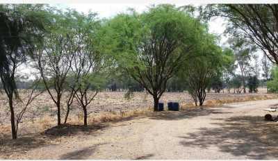 Residential Land For Sale in El Salto, Mexico