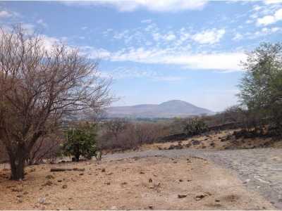 Residential Land For Sale in El Salto, Mexico