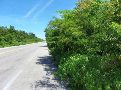Other Commercial For Sale in Tulum, Mexico