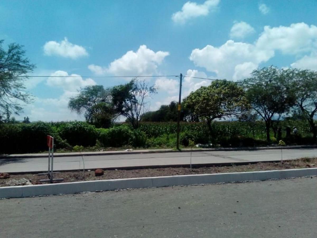 Picture of Residential Land For Sale in Ixtlahuacan De Los Membrillos, Jalisco, Mexico