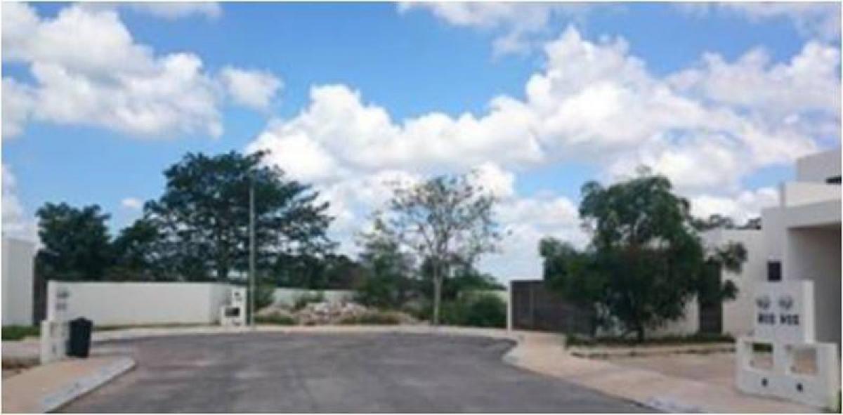Picture of Residential Land For Sale in Conkal, Yucatan, Mexico