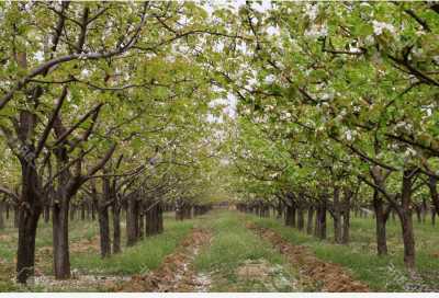 Residential Land For Sale in 