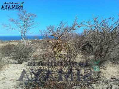 Residential Land For Sale in La Paz, Mexico