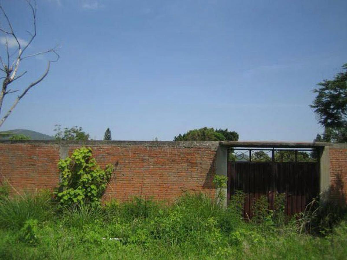 Picture of Residential Land For Sale in Ayala, Morelos, Mexico
