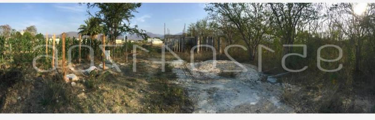 Picture of Residential Land For Sale in Santa Maria Del Tule, Oaxaca, Mexico